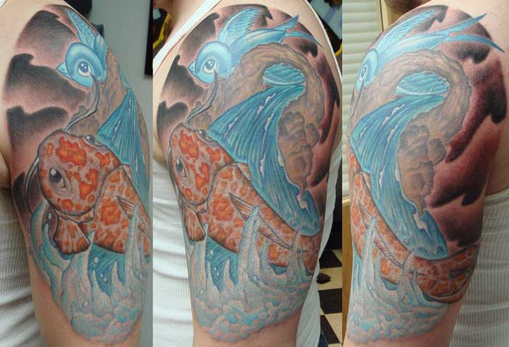 koi swallow