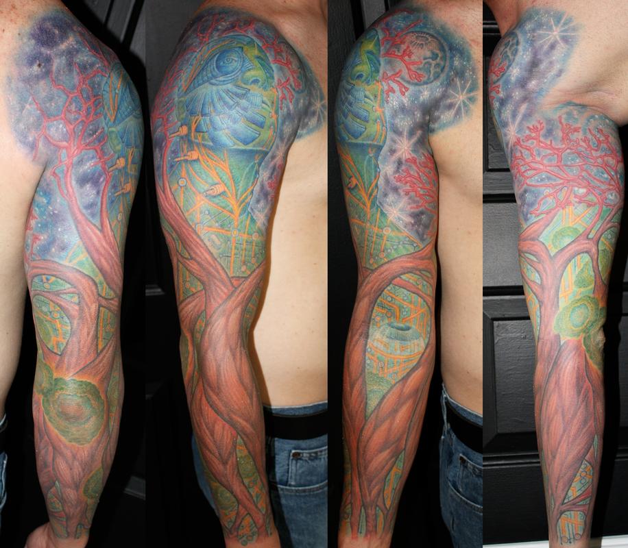 anatomical space