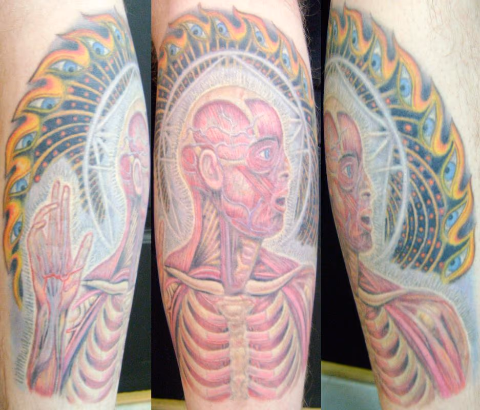 lateralus...healed