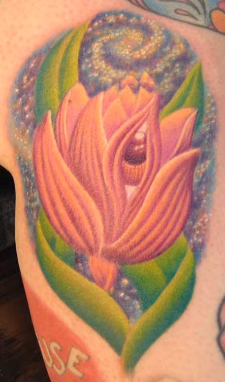 seeing eye lotus