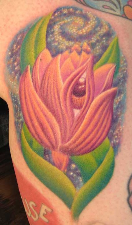 seeing eye lotus