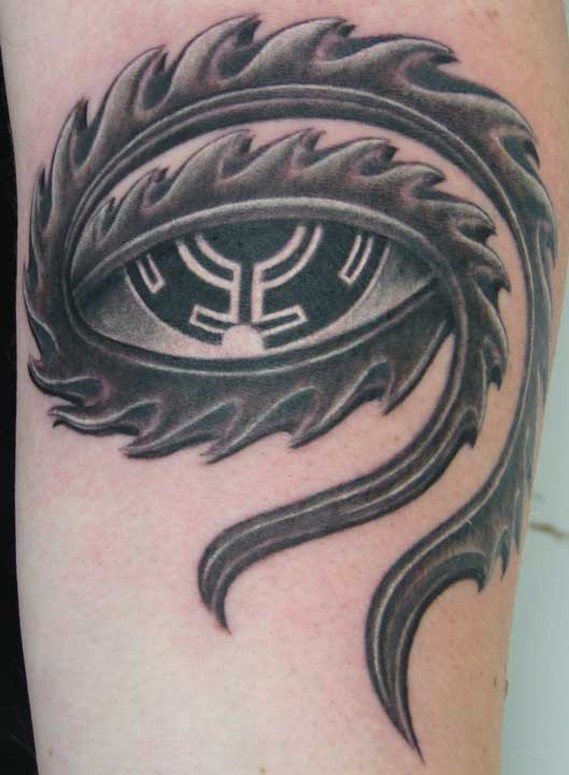 tool eye