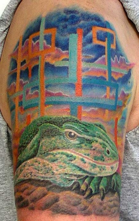 water monitor