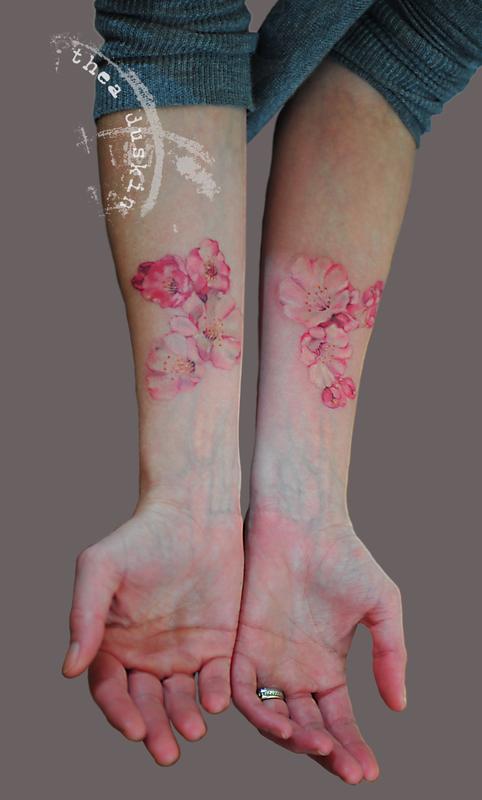 Cherry Blossoms