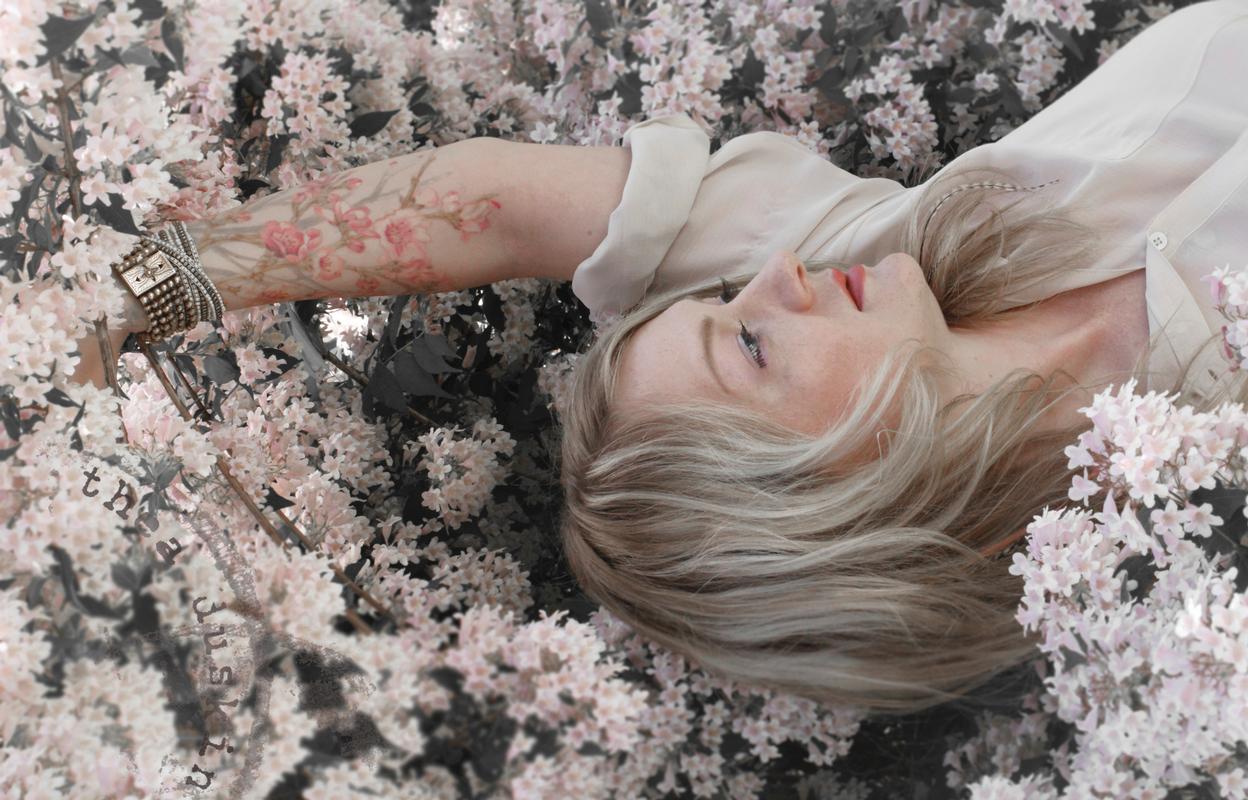 Cherry Blossoms