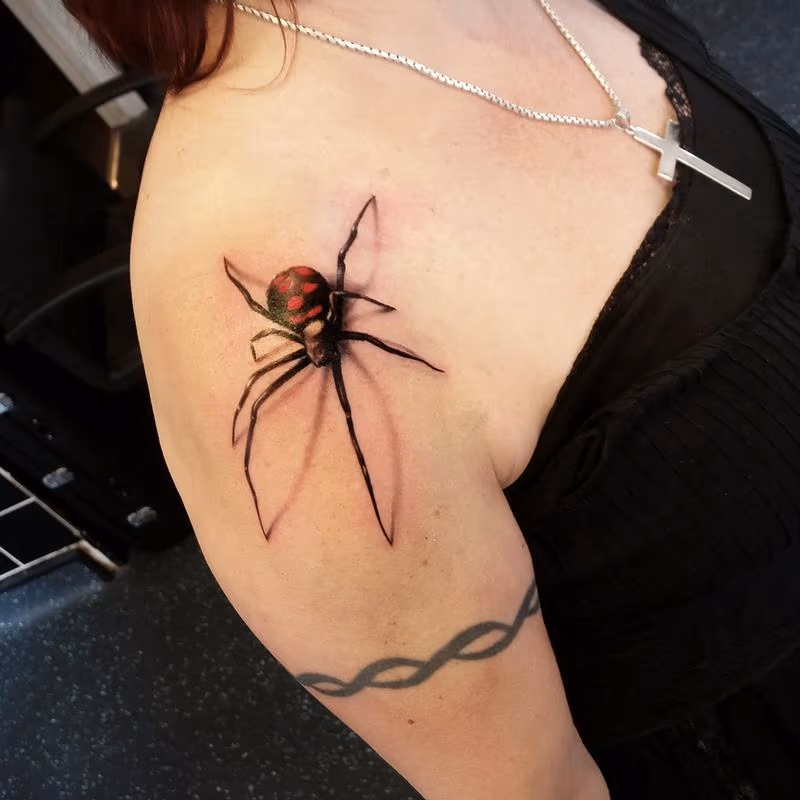 spider