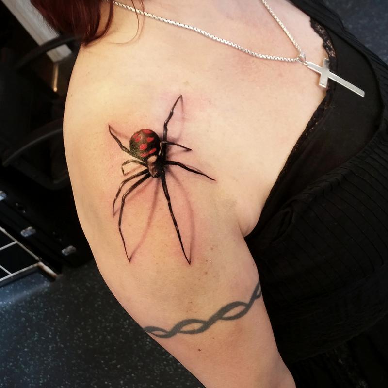 spider