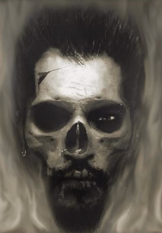 Skull Morph Portrait Artwork
