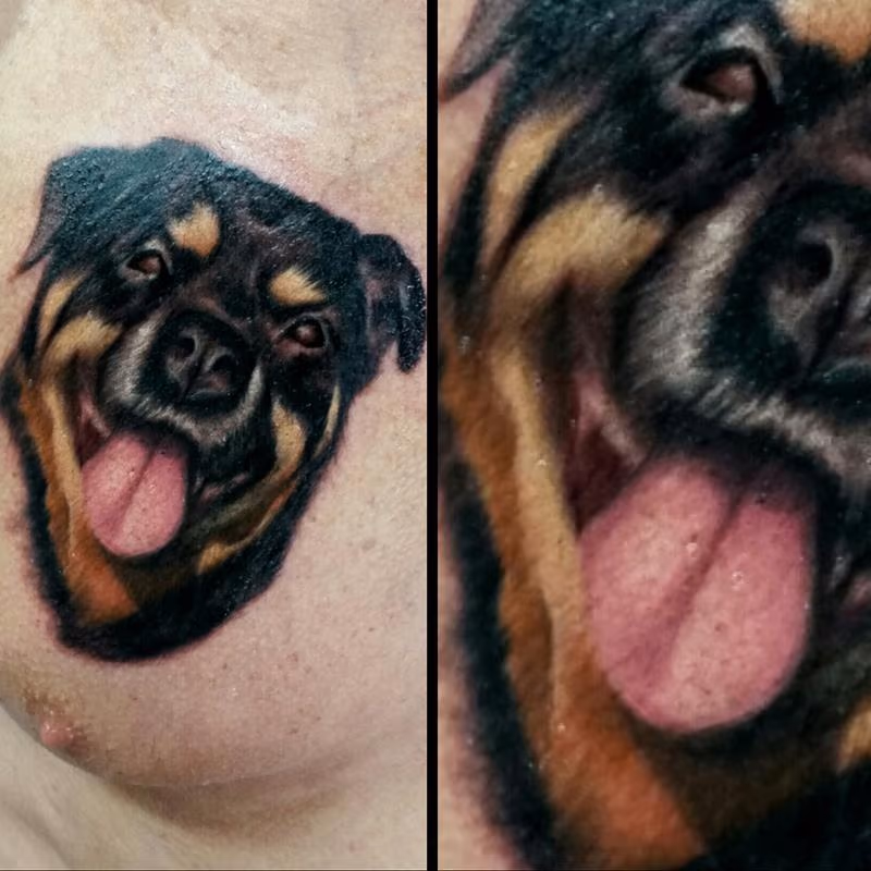dog