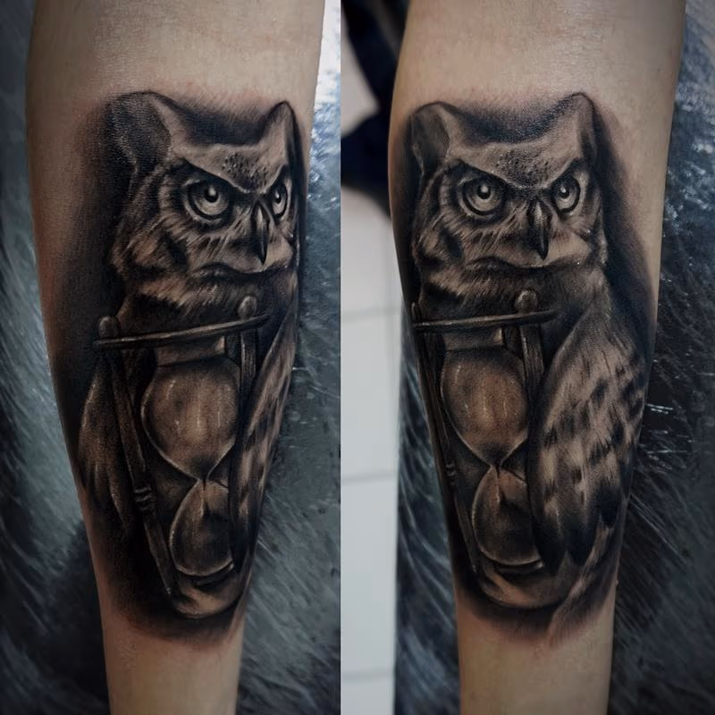 owl