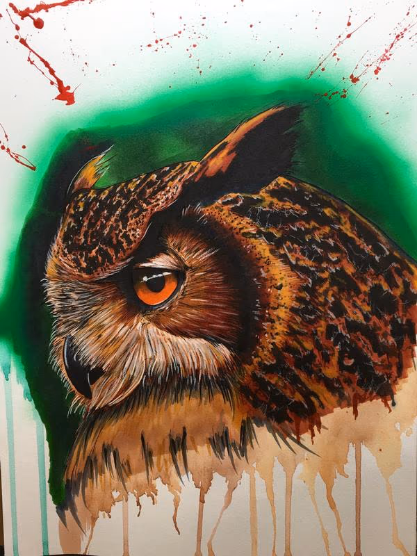 Owl