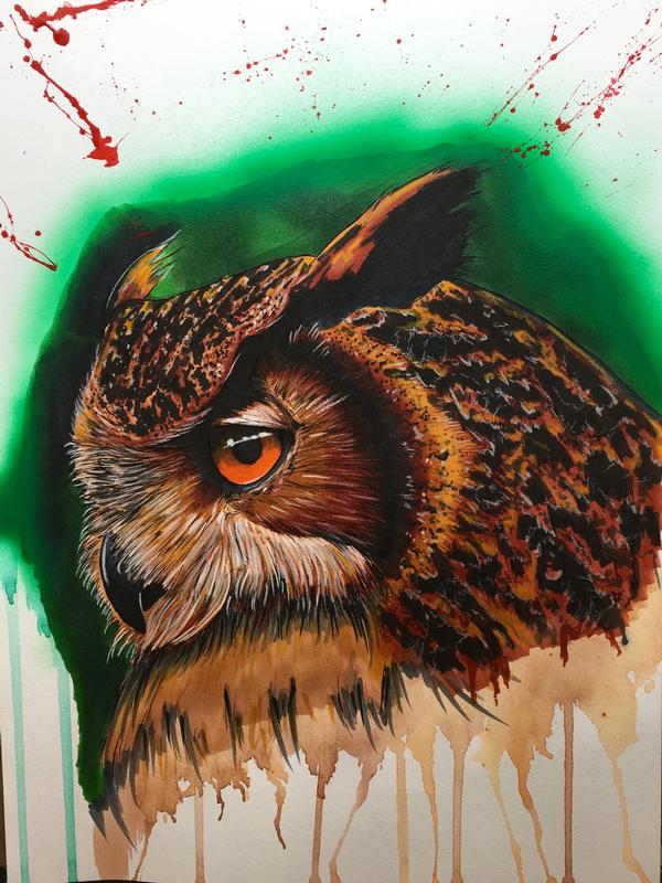 Owl