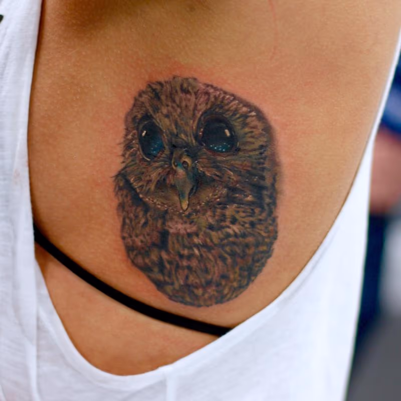 Owl