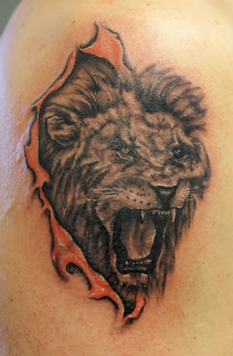 Lion head