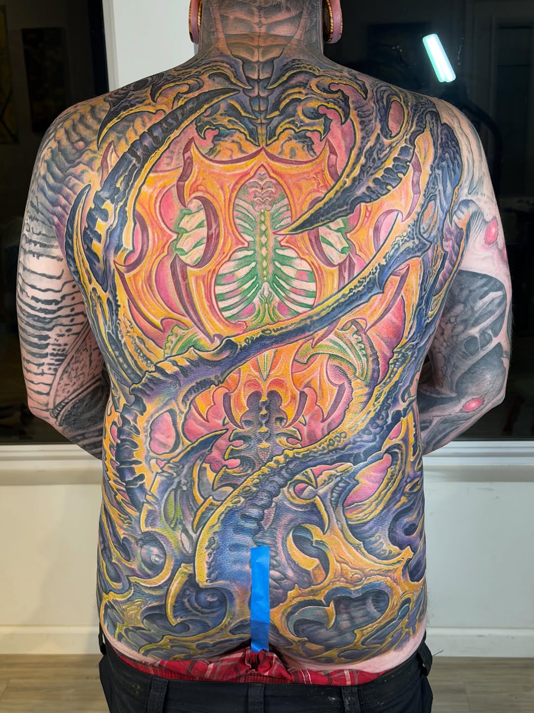 Color biomechanical full back piece
