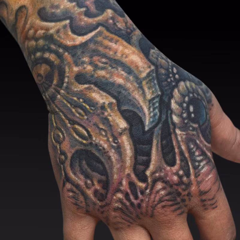 ShaineHand Web