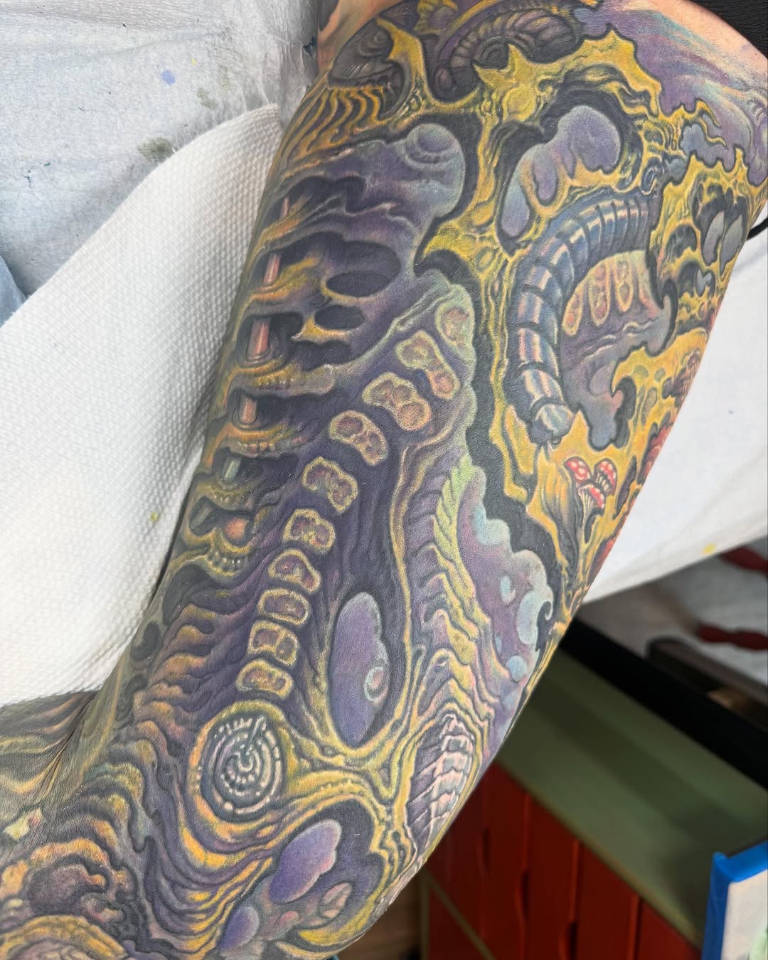 Biomechanical color leg sleeve coverup