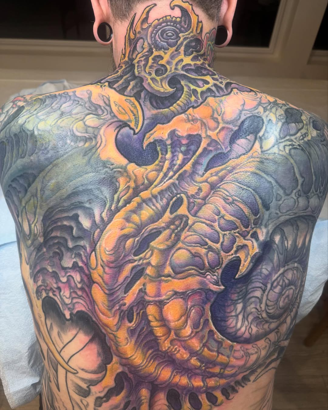 Bio-organic full back coverup in color