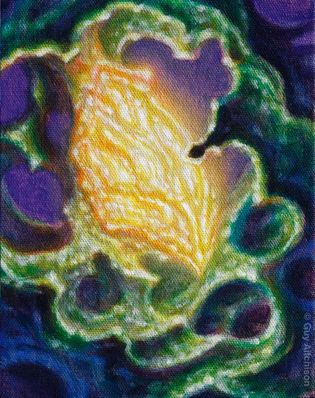 GlowThing 5, 2007