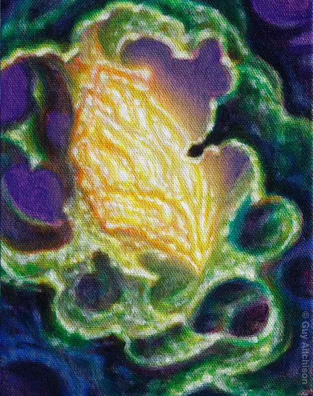 GlowThing 5, 2007
