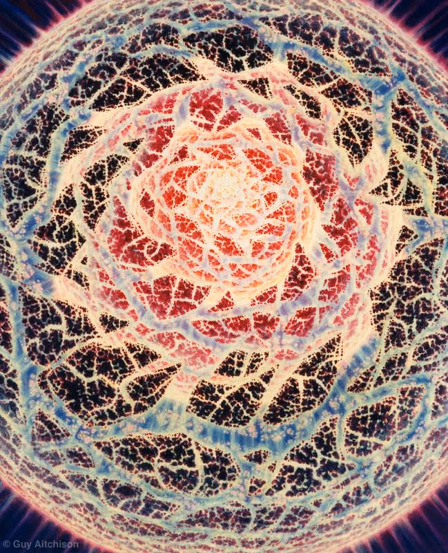 The Lotus Unfolds, 1998