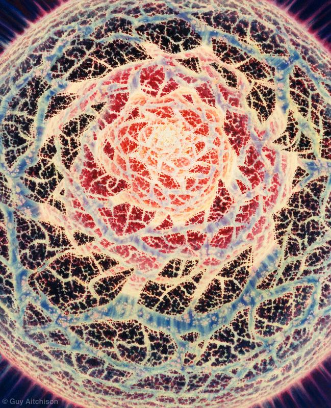 The Lotus Unfolds, 1998
