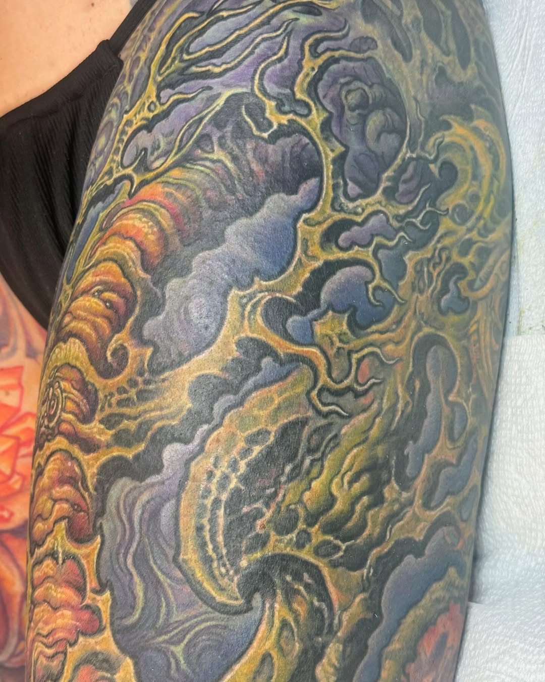 Biomech color coverup sleeve, leg
