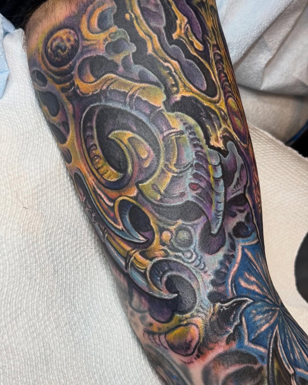 Biomechanical color sleeve coverup, forearm