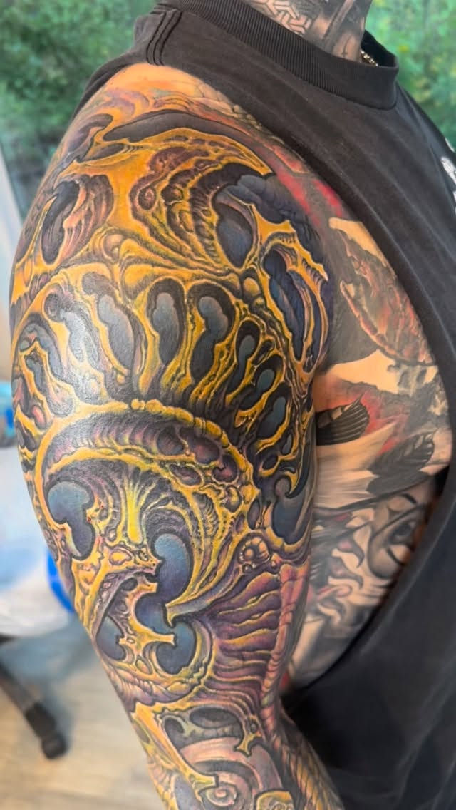 Biomechanical color cover-up sleeve