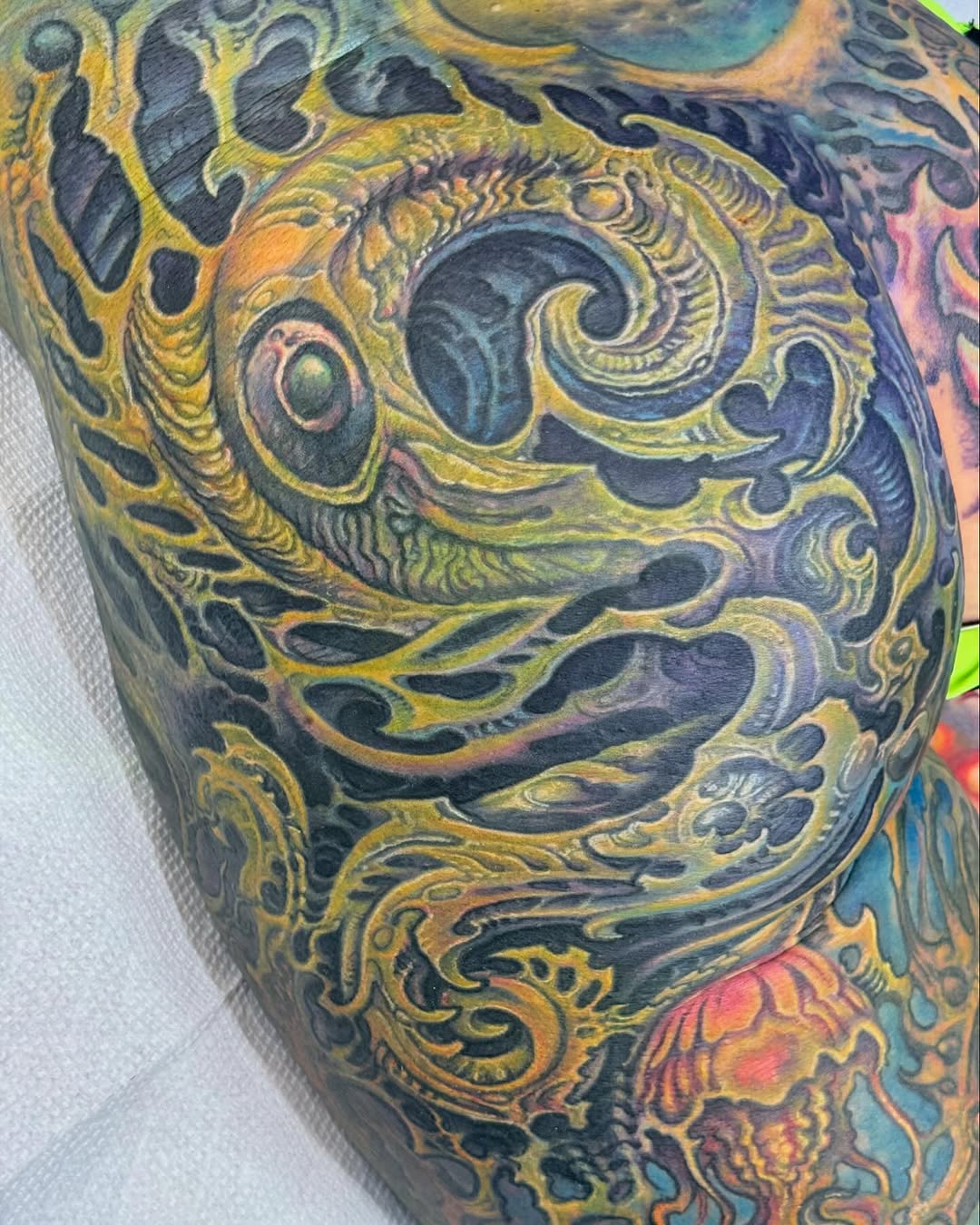 Biomech color cover-up, full leg