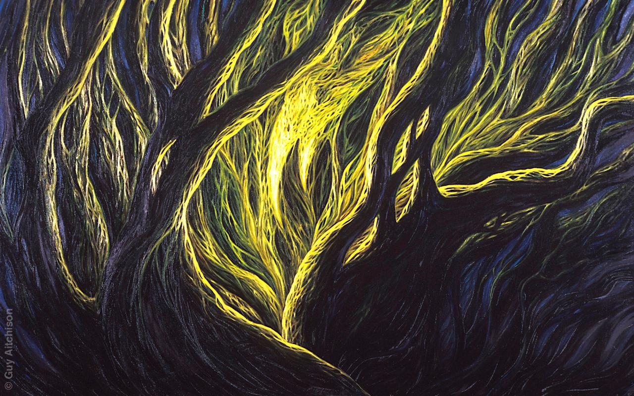 Mind Tree 3, 1994