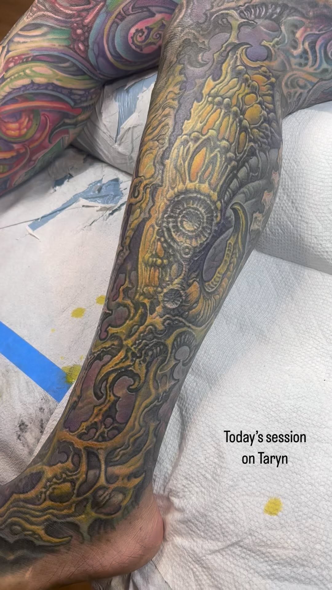 Biomechanical leg sleeve coverup in color