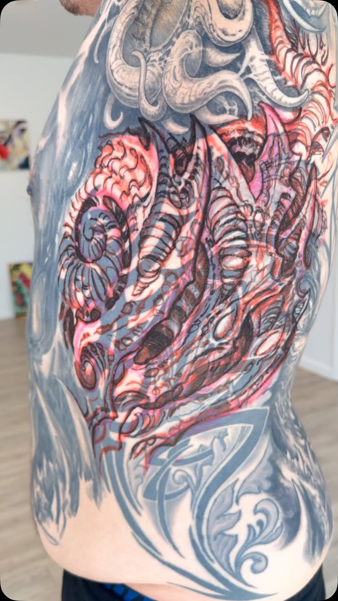 Biomechanical rib panel in red and grey