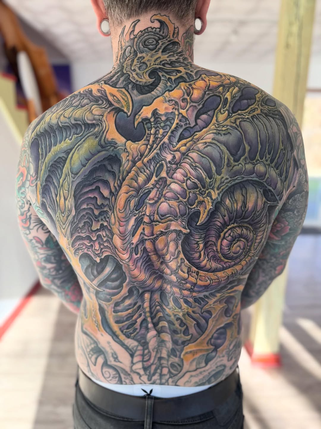 Biomechanical color back piece coverup