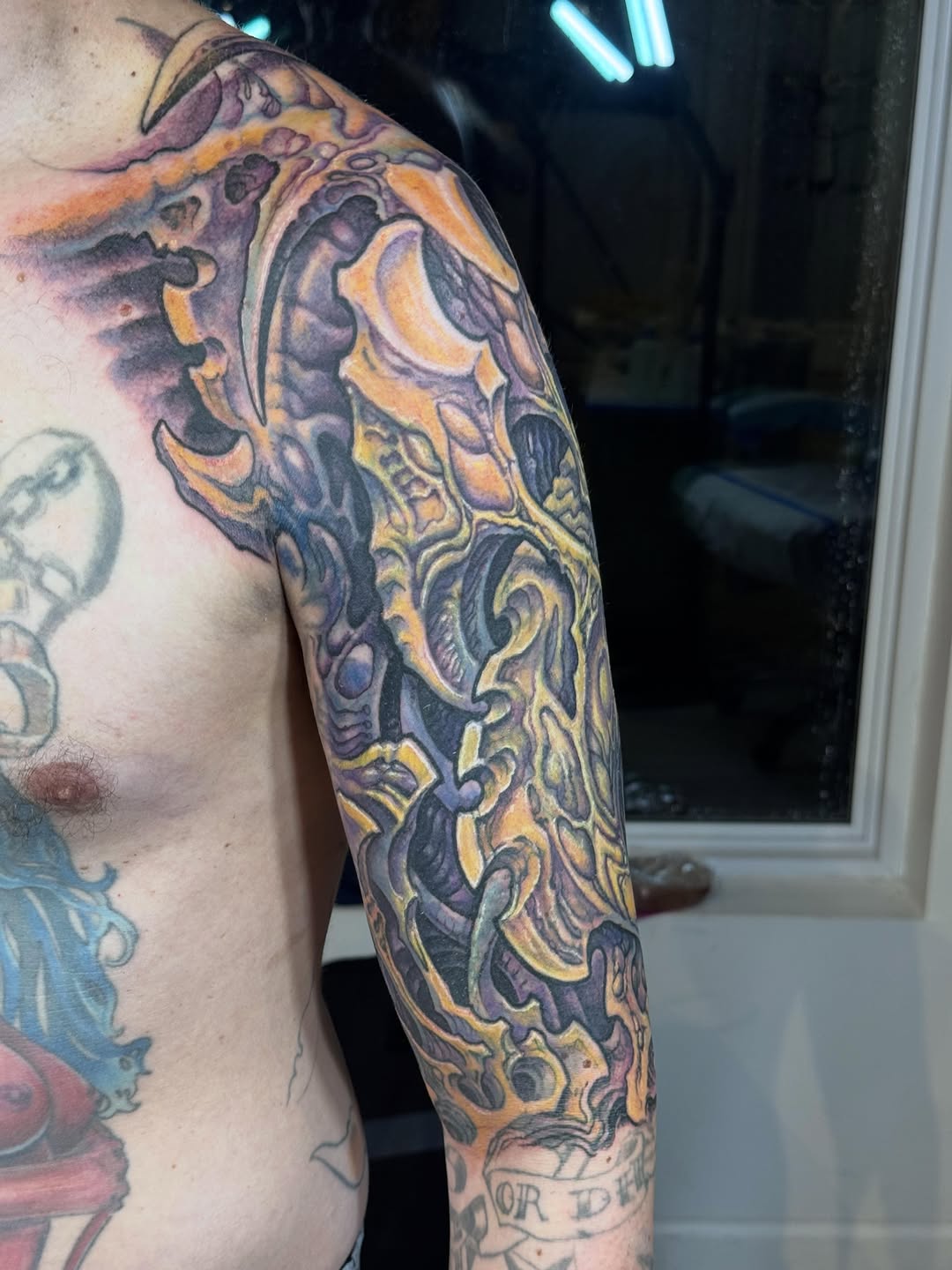 Ornamental full-sleeve tattoo in color, shoulder to wrist
