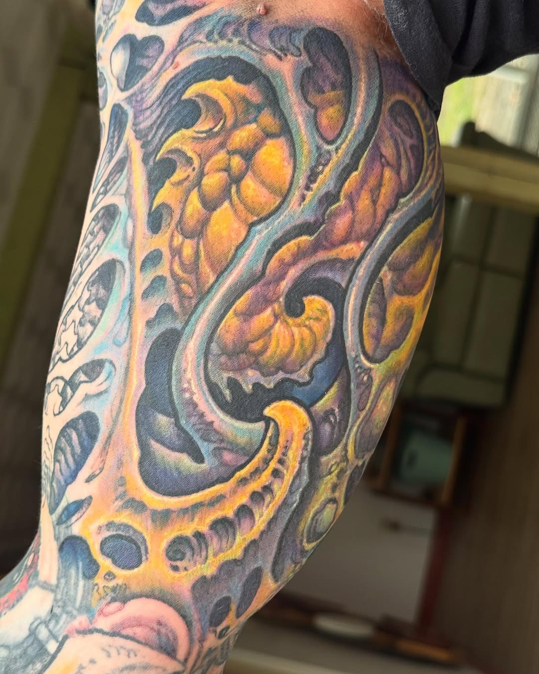 Biomechanical color cover-up sleeve