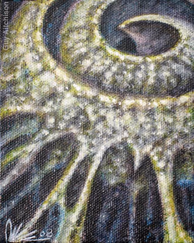 Organic Coil 3, 2008