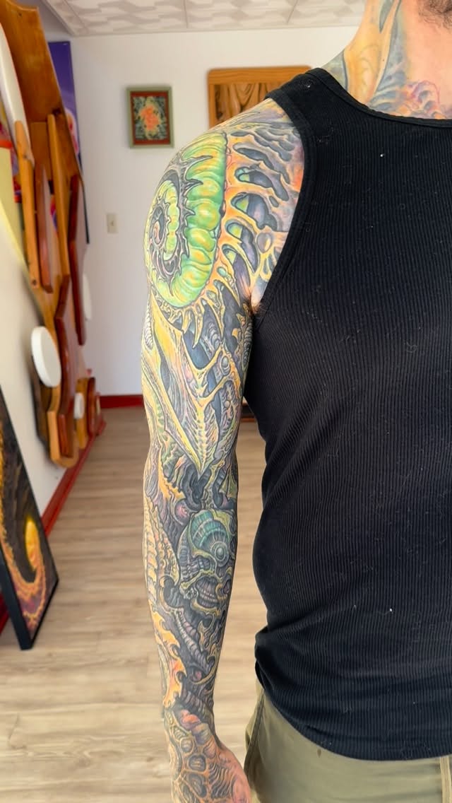 Biomechanical full sleeve in color, healed
