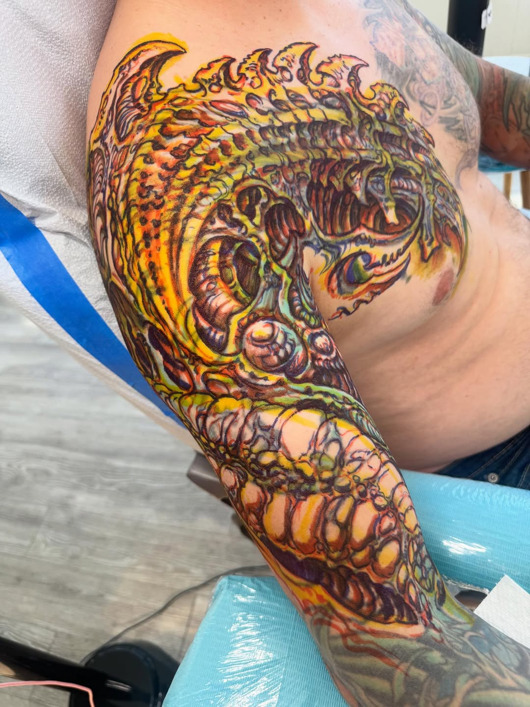 Biomechanical color sleeve coverup, arm