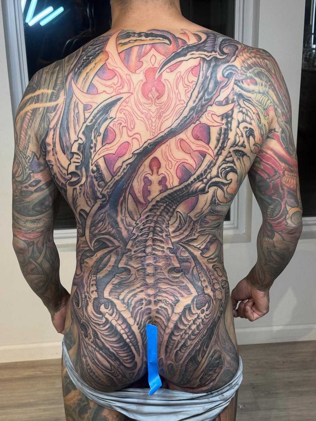Biomechanical back piece in color