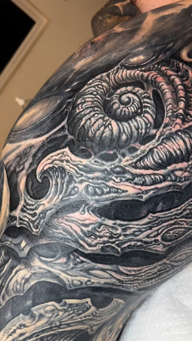 Biomechanical ammonite coverup, shoulder
