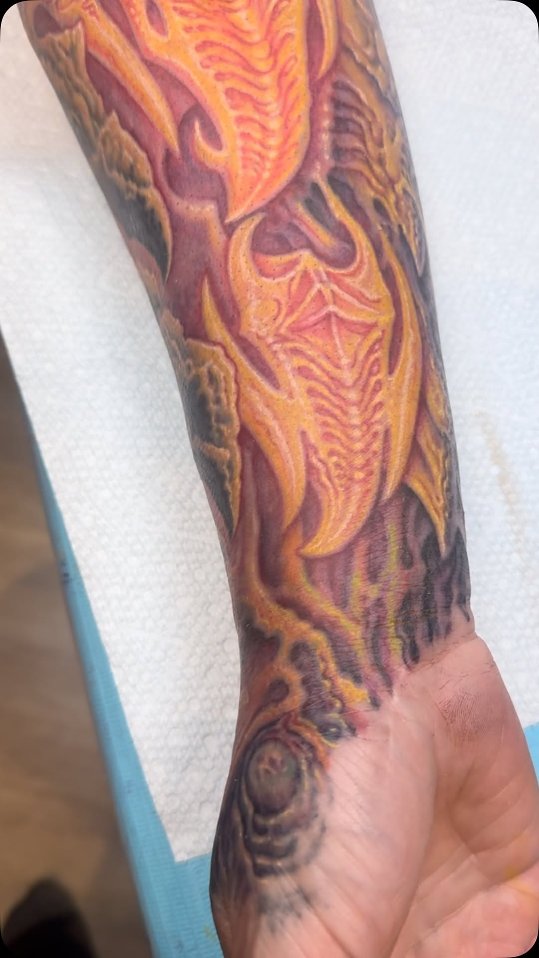 Biomechanical fire coverup sleeve in color