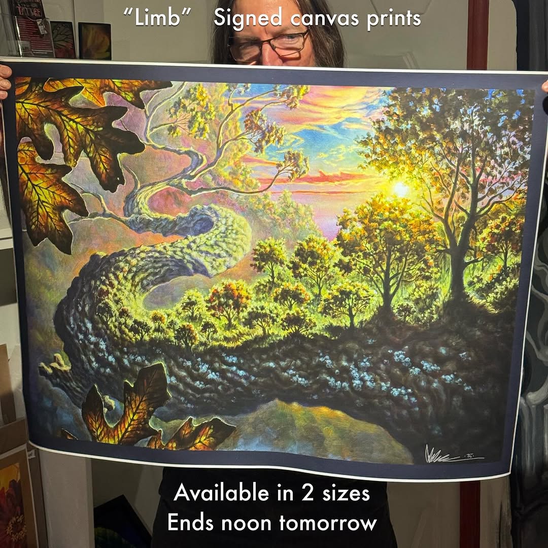 "Limb" signed canvas print by Guy Aitchison