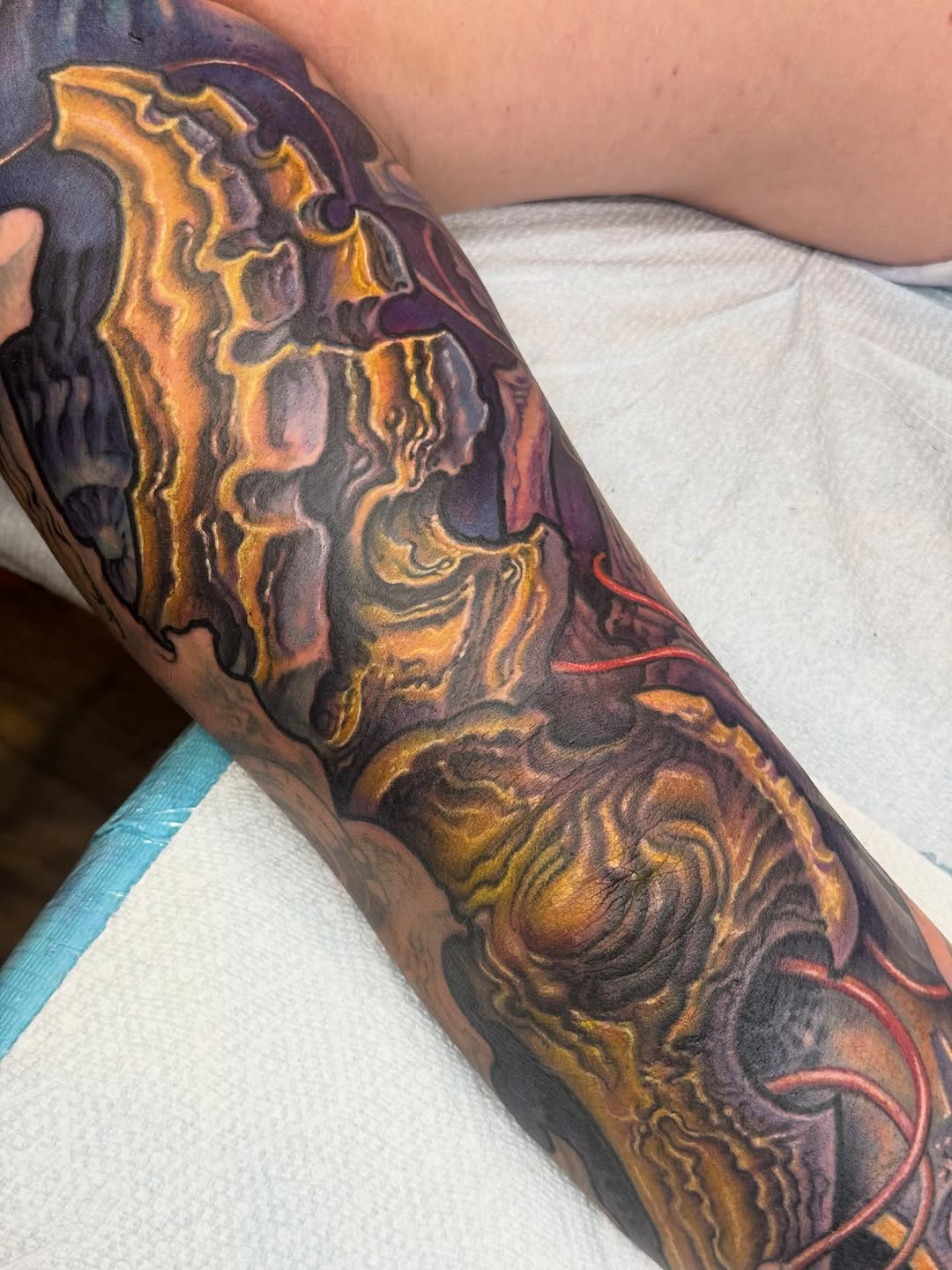 Biomechanical cyber xeno sleeve in color