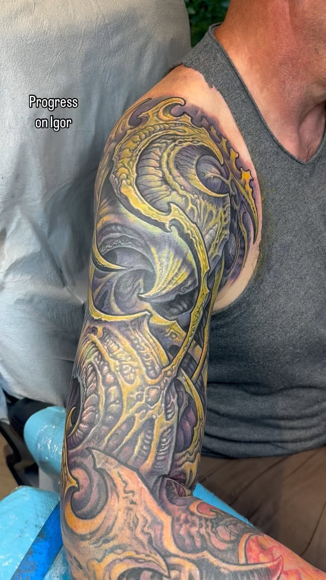 Biomechanical color cover-up sleeve