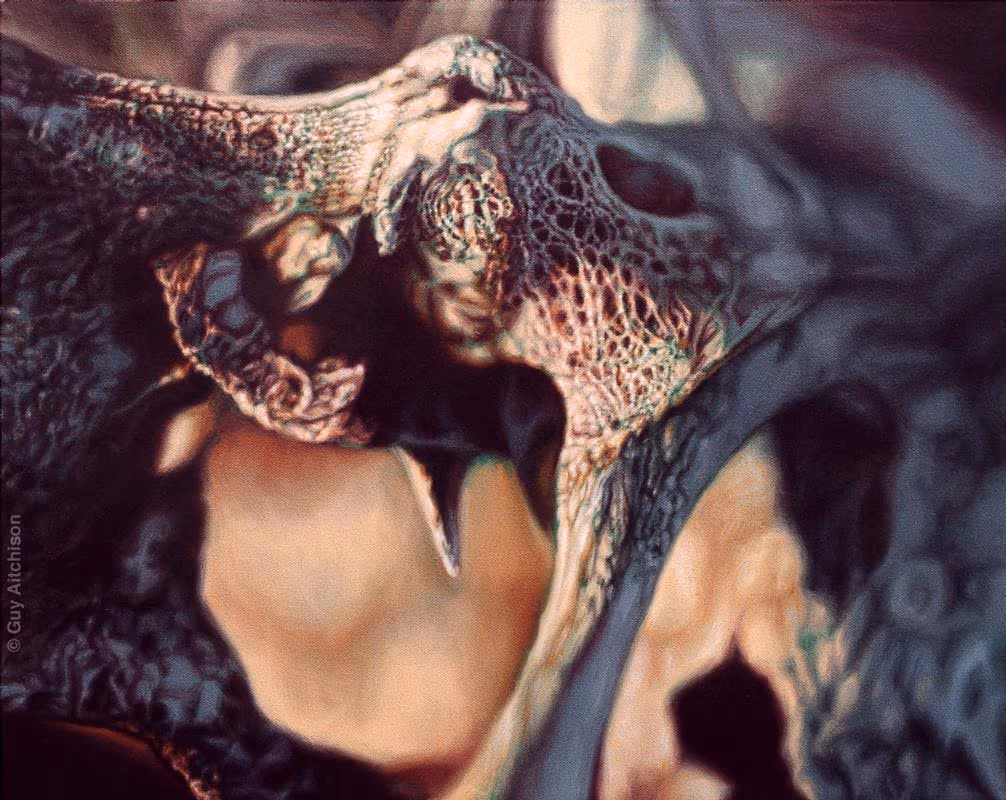 Crucifix Bone, 2003