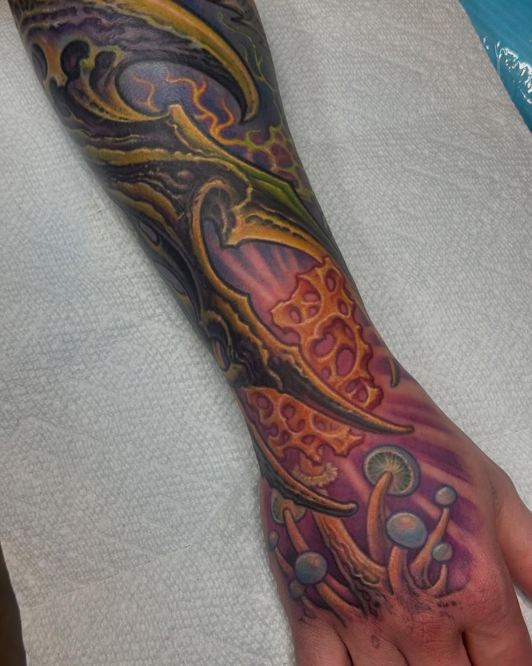Biomechanical mushroom sleeve in color, forearm