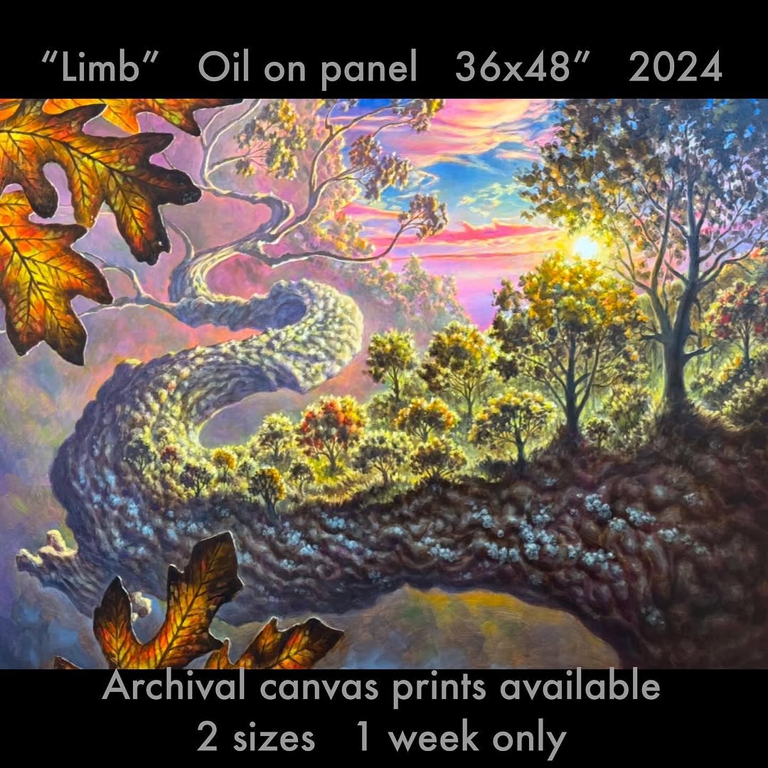 "Limb" surreal oil painting of tree limb at sunset