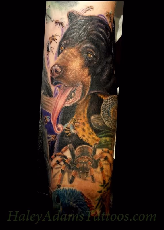 sun bear and tarantula tattoo