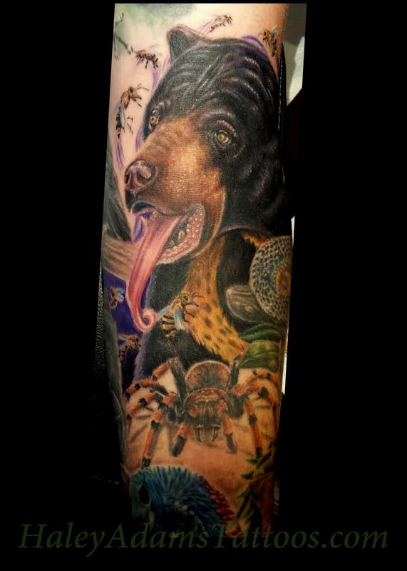 sun bear and tarantula tattoo